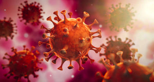 Coronaviruspandemin: COVID-19 – Vad du behöver veta