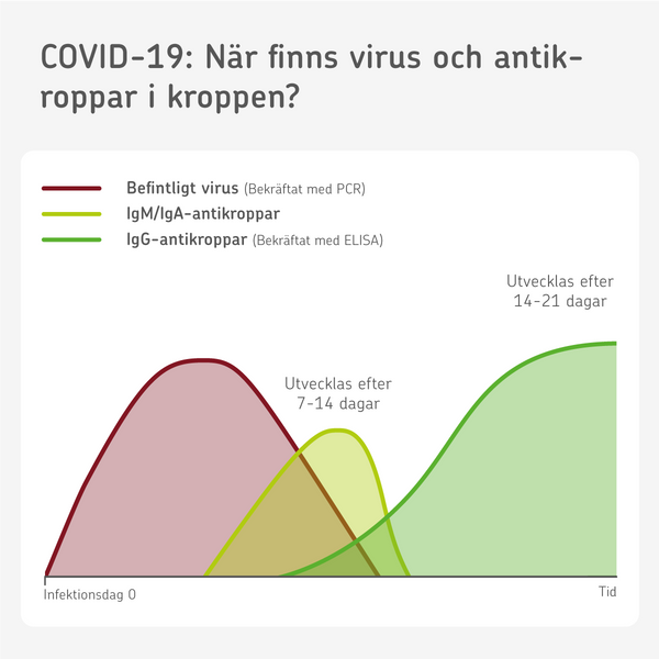 Antikroppstest mot Coronavirus